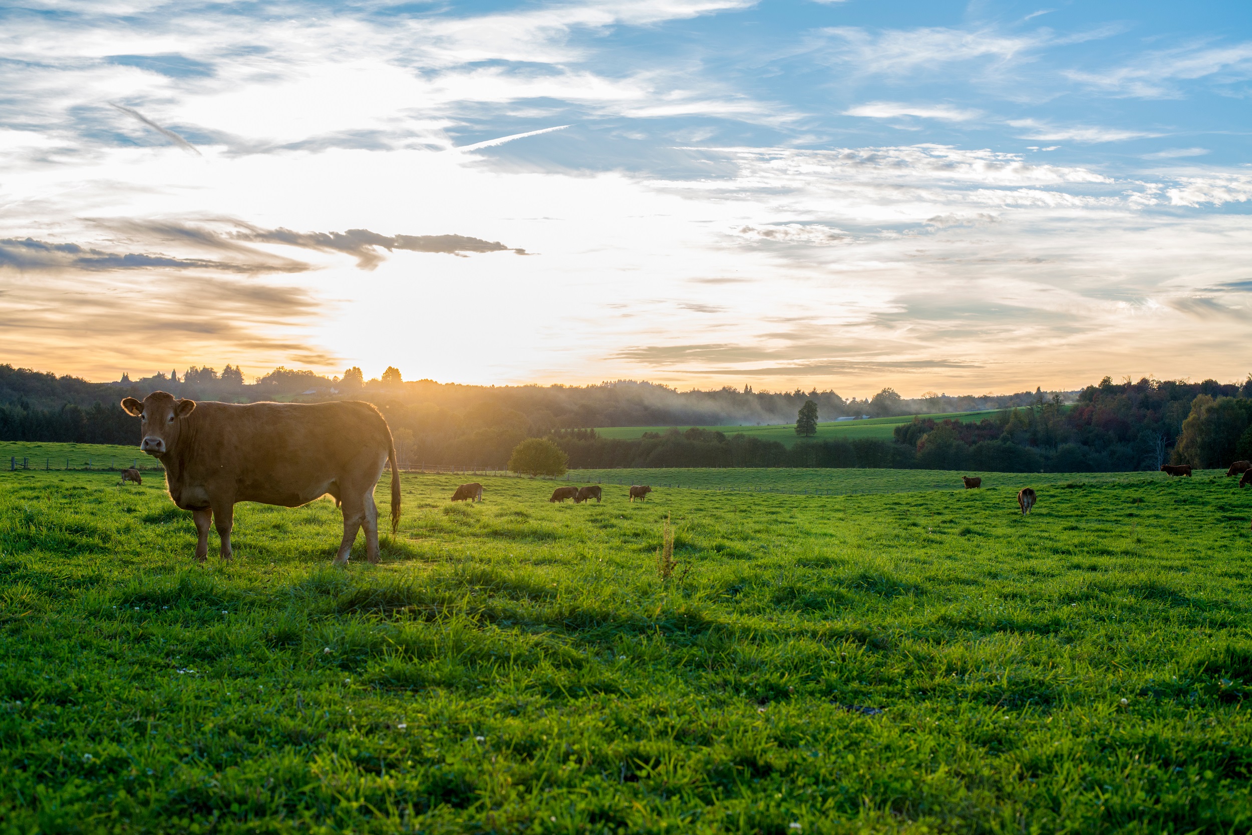 Home - Ag Marketing Partners